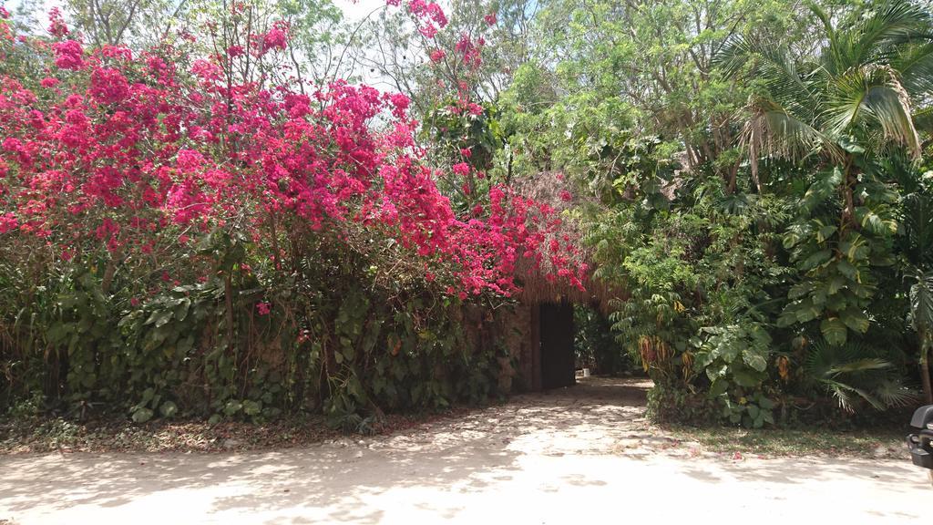 Privatunterkunft Jungle Aeropuerto Cancún
